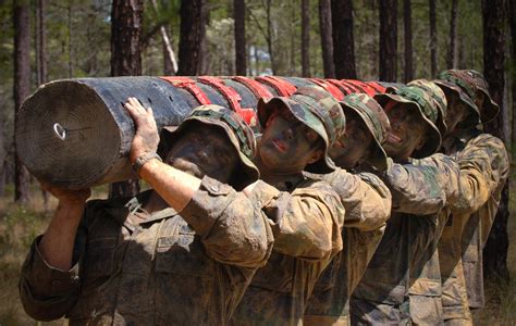 Recruits participating in military teamwork training