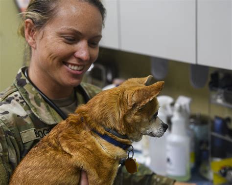 Military Veterinarian at Clinic