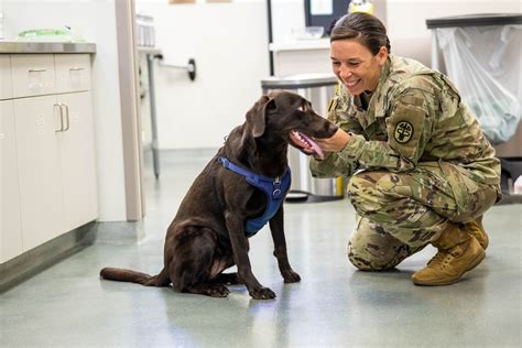 Military Veterinarian with Dog