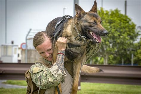 Military Working Dog Handler and Canine Partner