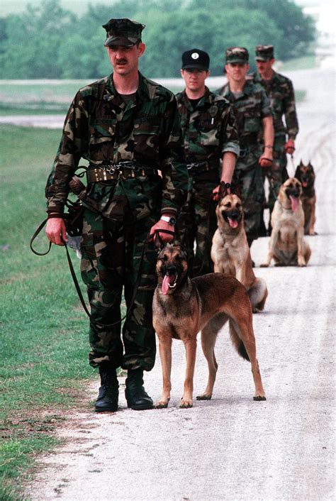 Military Working Dog School