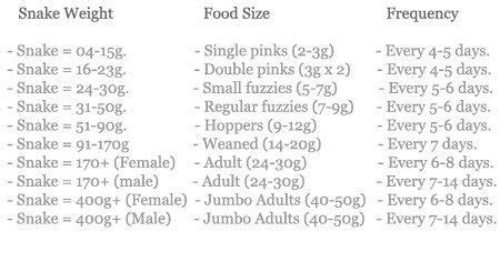 Milk snake feeding chart for hatchlings to adults