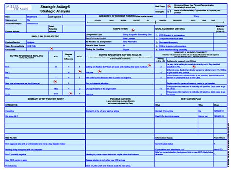 Miller Heiman Blue Sheet Template Example 2