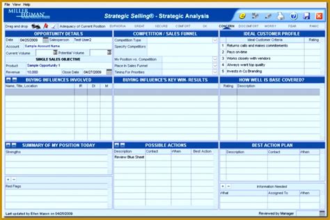 Miller Heiman Blue Sheet Template Example 3