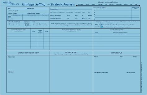 Miller Heiman Blue Sheet Template Example