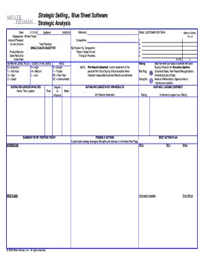 Miller Heiman Blue Sheet Template Guide