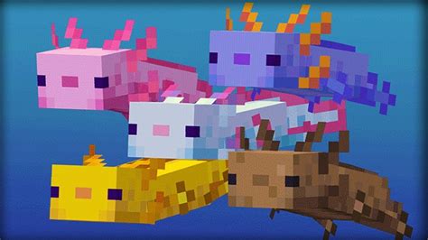 Minecraft Axolotl Skin Templates Ideas Gallery