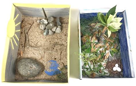 Miniature Animal Habitats