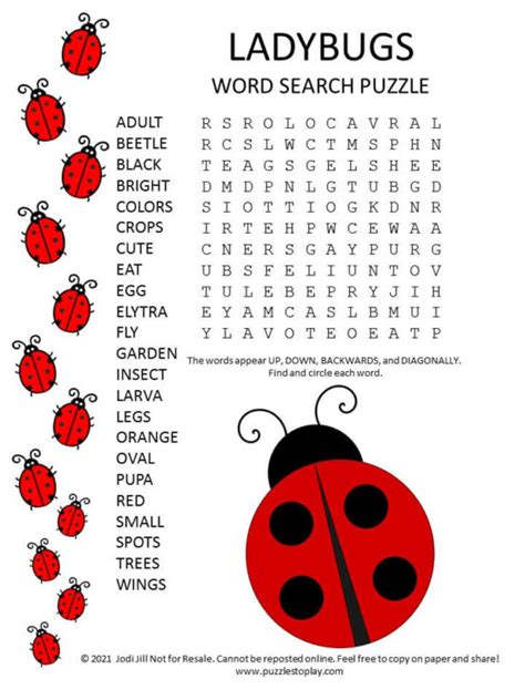 Miraculous Ladybug Word Searches