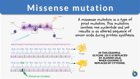 Missense Mutation