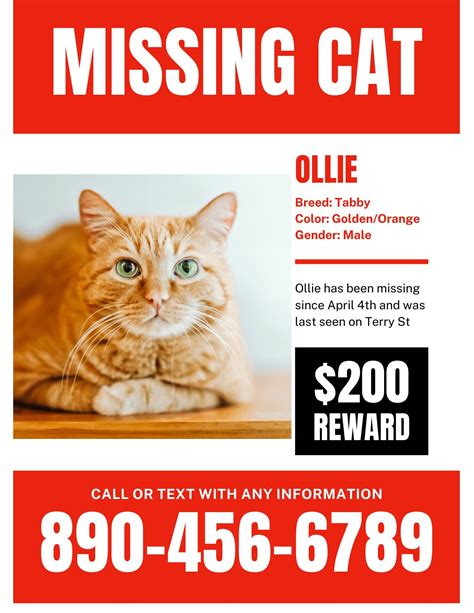 Missing Cat Poster Template Example