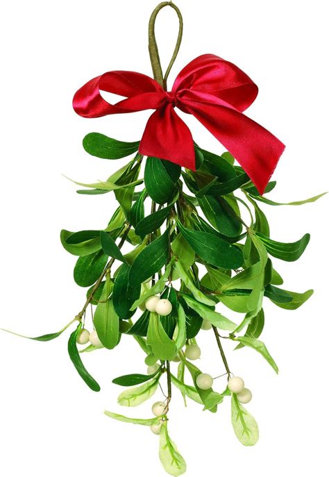 Mistletoe Decor