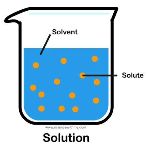 Model 10 Solutions