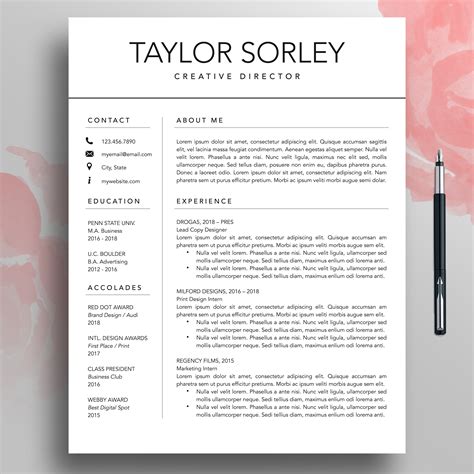 Modern Resume Template Example