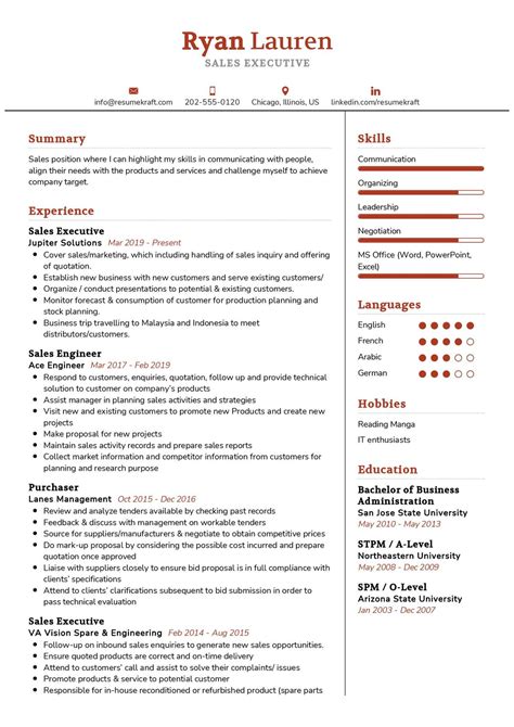 Modern Sales Executive Resume Template