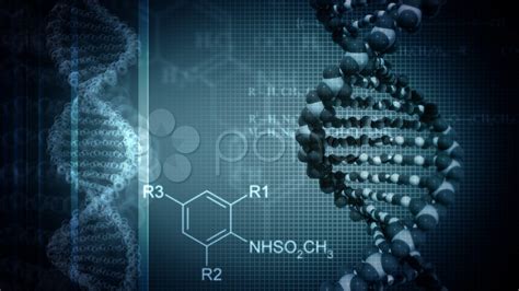 Molecular Biology