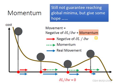 Momentum Terms