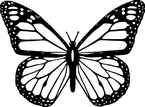 Monarch butterfly coloring page