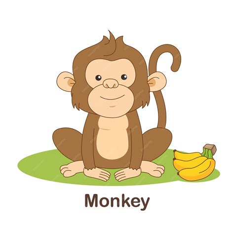 Monkey Flashcard