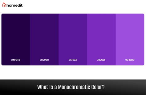 Monochromatic Color Swatch Chart