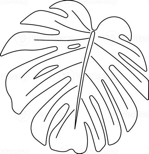 Free Monstera Leaf Outlines for Crafting and Design