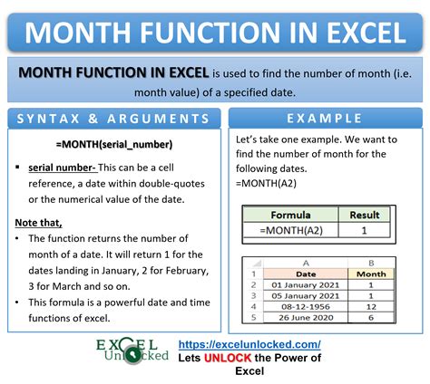 Using the MONTH Function