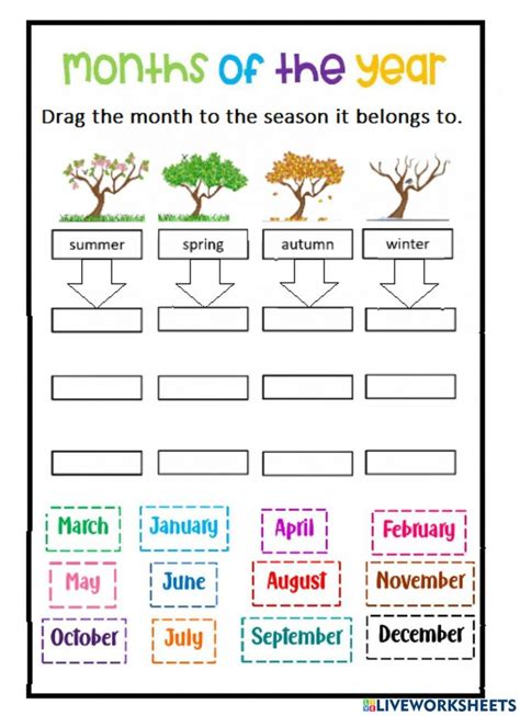 Months of the Year Worksheets for Kids