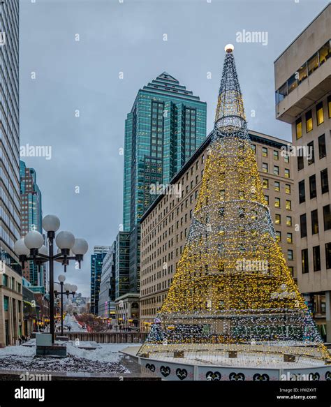 Montreal Christmas Tree