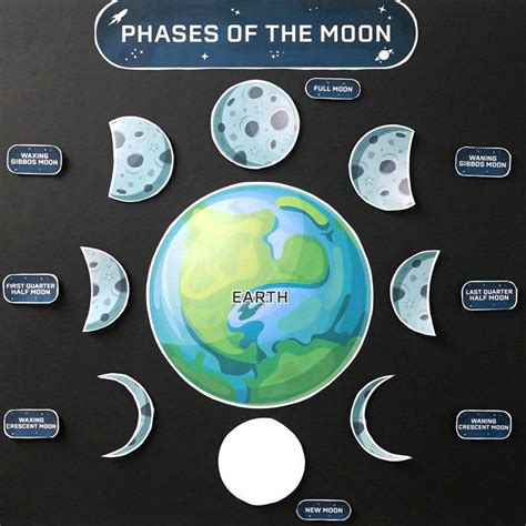 Moon Phases Learning Activity Image