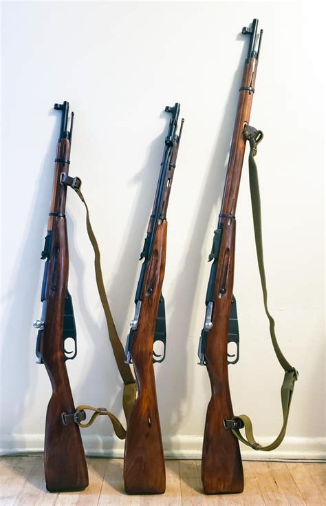 A collection of Mosin Nagants