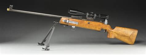 Mosin-Nagant target shooting