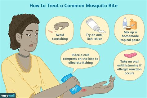 Mosquito Bites