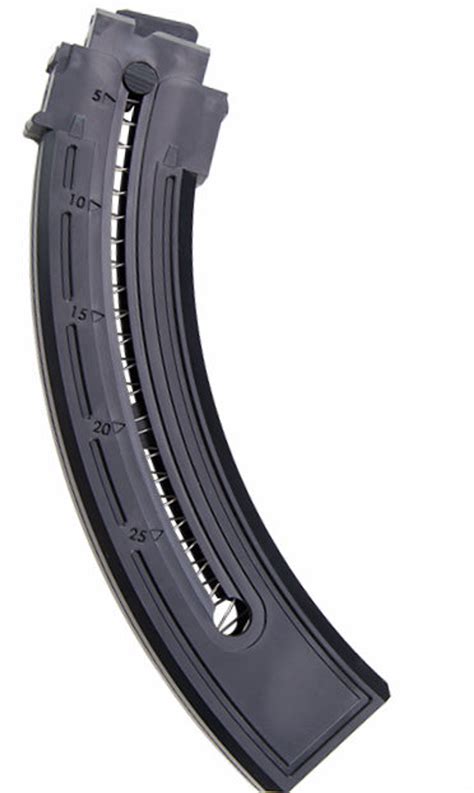 Mossberg 22 AR Pistol Magazine Capacity