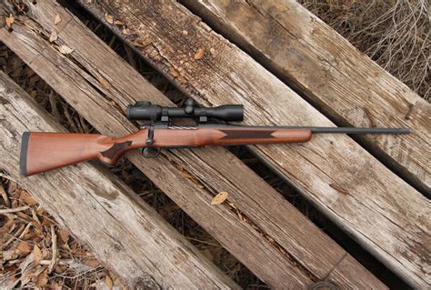 Hunting with the Mossberg 22 rifle