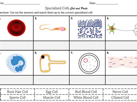 Moving Merged Cells with Cut and Paste