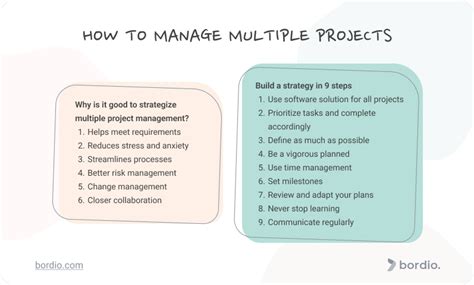 Multiple Project Management