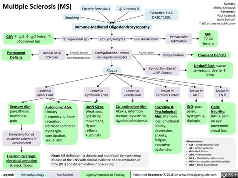 Multiple Sclerosis Pathophysiology Concept Map