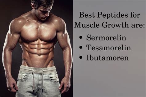 Description of Muscle Gain with Peptides