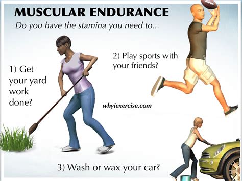 Muscular Strength and Endurance