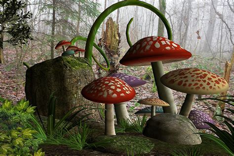 Mushroom forest illustration