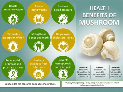 Mushroom health benefits