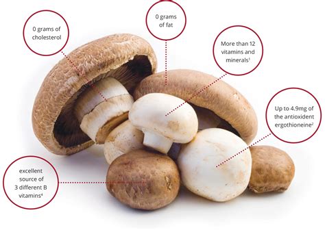 Mushroom nutrition