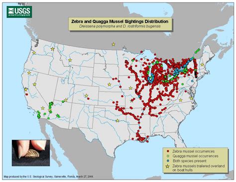 Mussel Map Guide Introduction