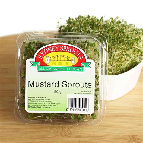 Mustard Sprout Pesto