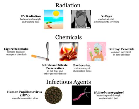 Mutagenic Agents