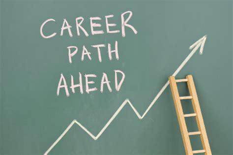 My View Employability and Career Prospects