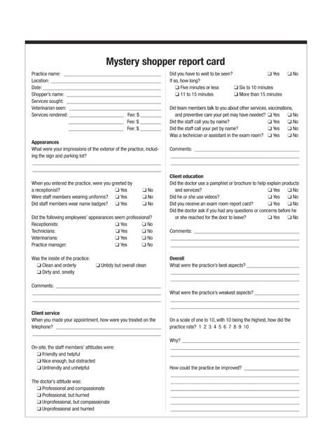 Mystery Shopper Report Template