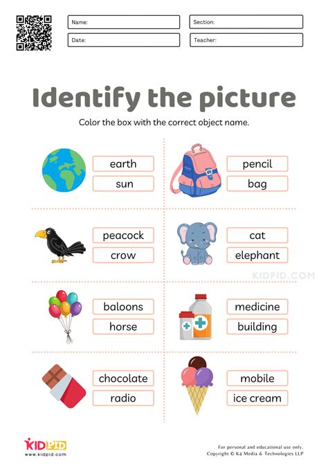 Examples of name the object worksheets