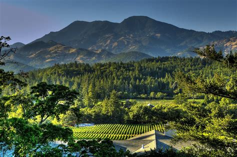 Napa Valley Landscape