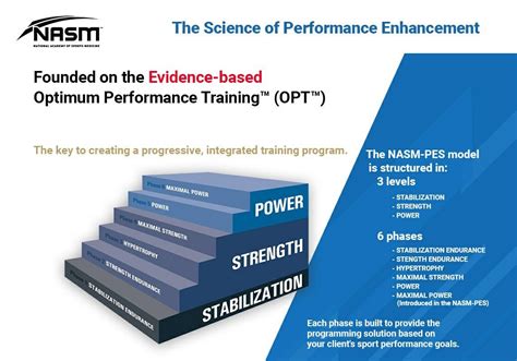 NASM OPT Model Templates